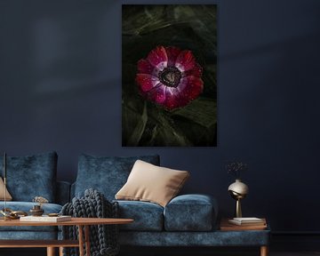 stilleven anemoon bloem van Marga Goudsbloem
