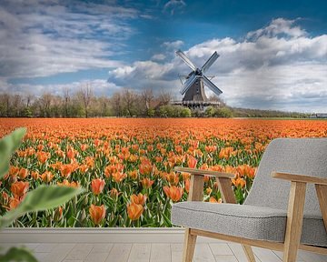 tulips landscape with a Dutch windmill by eric van der eijk