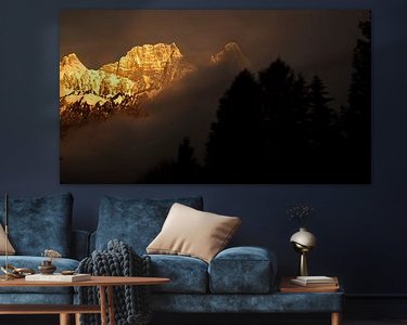 Aperçu de la chambre