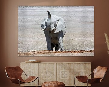 NAMIBIA ... Elephant fun III van Meleah Fotografie