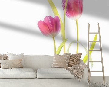 Tulips by Fionna Bottema
