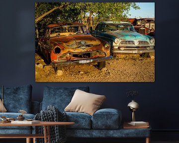 Desoto & Chrysler van Tineke Visscher