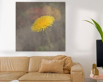 dandelion sur eric van der eijk