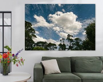 Wolken in den Bäumen, Victoria, Australien von Sven Wildschut