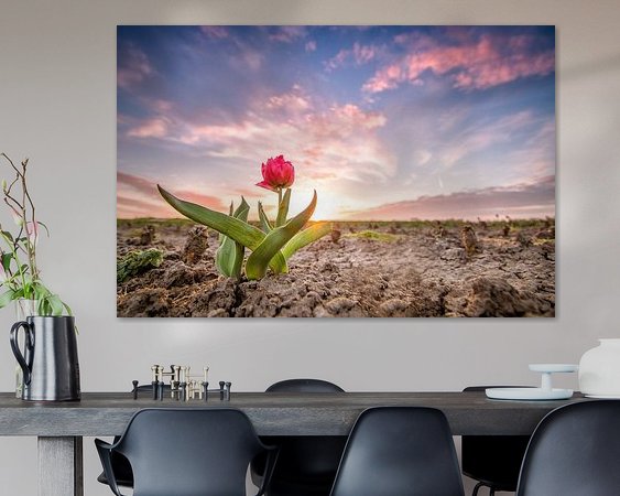 Voorbeeld van het werk in een kamer