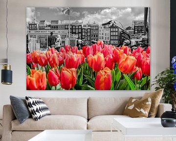 Rode tulpen uit Amsterdam van Peter Bartelings