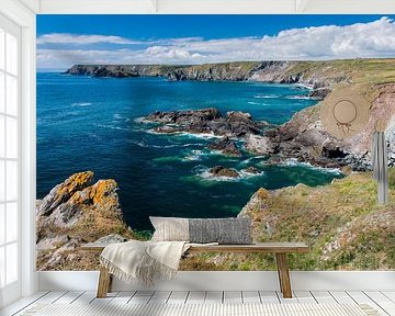 Lizard point by Adriaan Westra