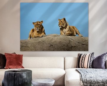 Two Lions von Martin Smit
