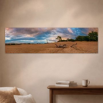 Panorama Loonse and Drunense Dunes by Sander Poppe