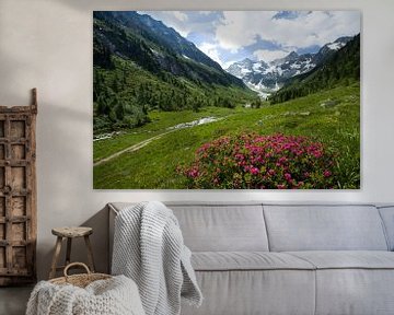 Alpen Uitzicht by Martin Smit