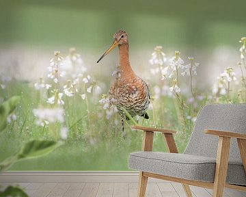 Among the cuckoo flowers by Erik Veldkamp