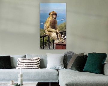 Chilling monkey