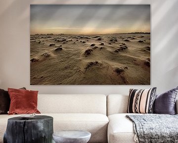 Desolate landscape van Edzo Boven