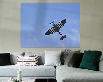 Spitfire  van Pim Feijen