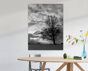 Big tree by Martzen Fotografie