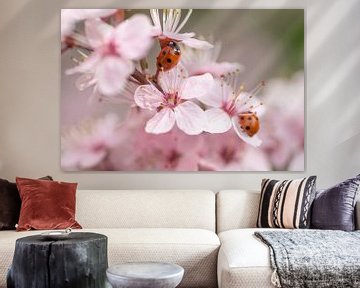 Sweet springtime (roze bloesem met lieveheersbeestjes) van Birgitte Bergman