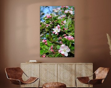 Roze bloesem sur Marian Klerx