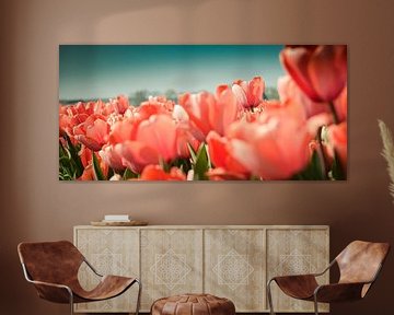 Tulpen von Rob van der Post