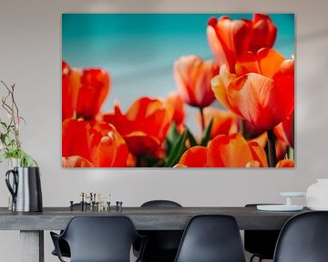 Tulpen II van Rob van der Post