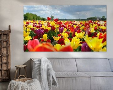 Hollandse tulpen op veld by Charlotte van Noort