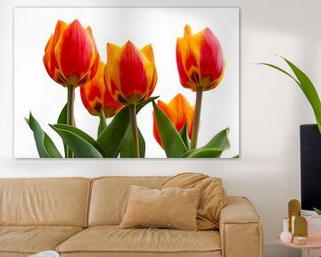 Roodgele tulpen van Ad Jekel