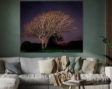 sterrennacht
