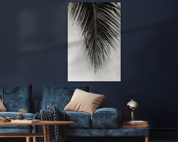 Palm Leaf van Olis-Art