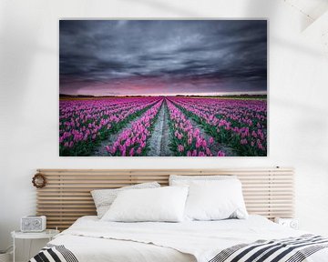 Tulpenveld in bloei van Jeffrey Groeneweg