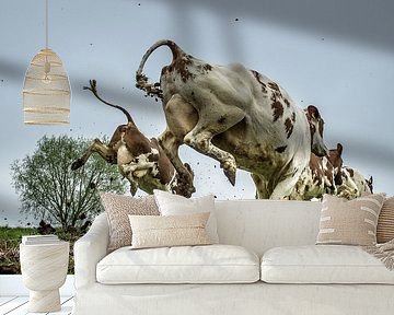 Dutch Cow by John van Gelder