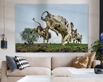 dansende springende koeien van John van Gelder