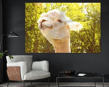 charming alpaca van Louisa Hoenstok