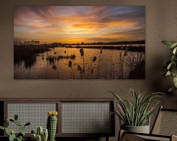 Zonsondergang natuurgebied Leeuwarden