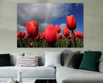 Tulpen in de wolken by Pamela Fritschij