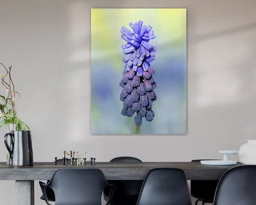 Blauw druifje. van Ron Westbroek