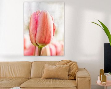 Tulp von Ron Westbroek