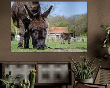 Groeten uit Heemskerk van Yvonne van der Meij