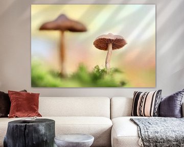 The little mushrooms van Michelle Zwakhalen