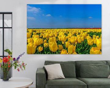 Tulpen veld Flevopolder by Han Kedde