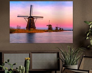 Des vacances de printemps hautes en couleurs à Kinderdijk, Rotterdam sur Madan Raj Rajagopal