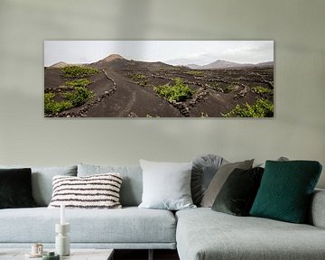 Frisgroene wijnvelden binnenland Lanzarote by Ramona Stravers