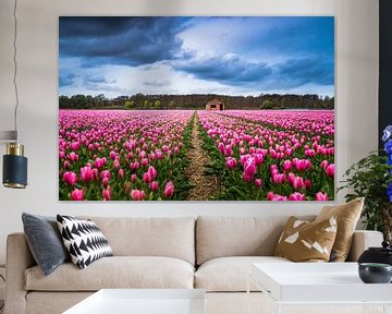 Een tulpenveld bij Lisse 'Nederland'  van Etienne Hessels