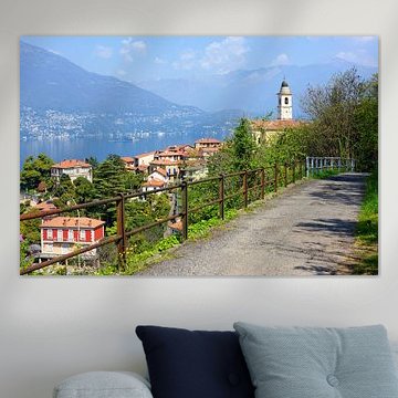 Pino sulla Sponda del Lago Maggiore II