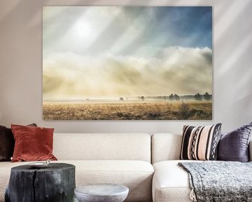 Sun and mist on Ginkel Heath  by Reno  van Dijk