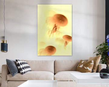 Jellyfish N.1 van Olis-Art
