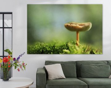  Mushroom van Michelle Zwakhalen