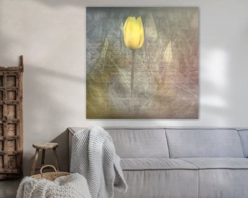 Tulipe jaune sur eric van der eijk