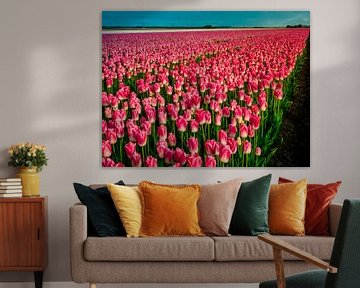 Roze tulpenveld - Holland