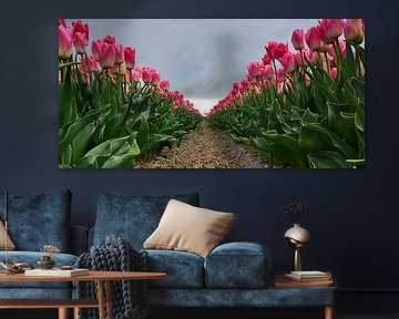 Tulpen op Texel van Ronald Timmer