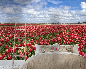 Rote Tulpen auf Texel / Rote Tulpen auf Texel von Justin Sinner Pictures ( Fotograaf op Texel)