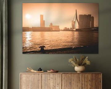 Golden Sunrise Rotterdam by Dennis Vervoorn